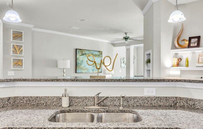 Double Stainless Steel Sink at Sterling Creek at Richmond Hill, Georgia , 31324