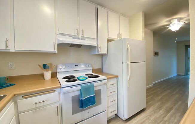 237 - 239 Tamarack Ave.