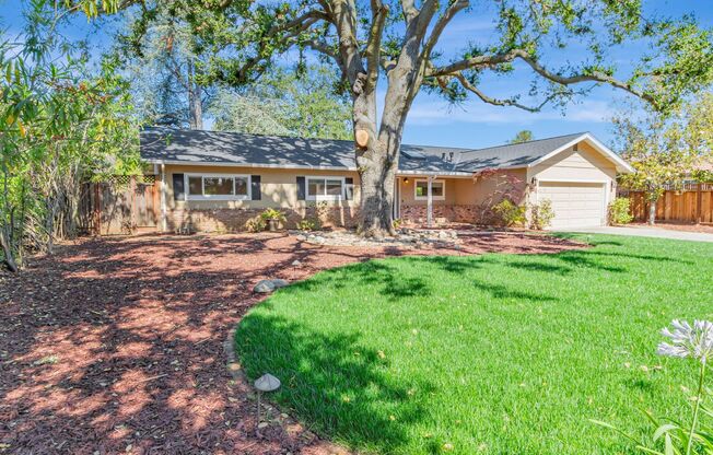 Fabulous 3BR 2BA Single Family Los Altos Home