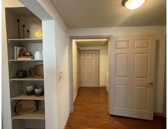 a hallway with a closet and a white door