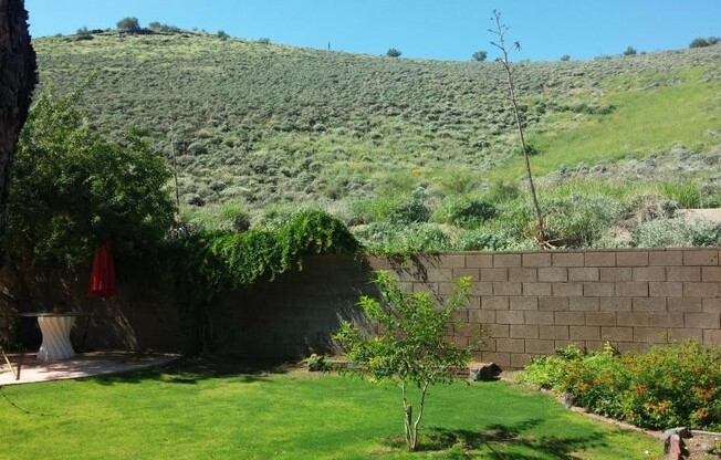 Gorgeous home in Pinnacle Hill!!! New carpet being installed before move in!!!  Backs to the Mountain!!!  Pool!!!  Large lot!!!  Storage!!!