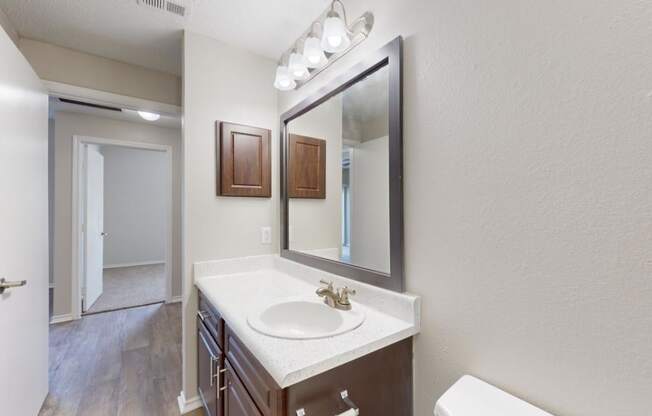 a bathroom with a sink and a mirror