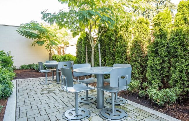 1 bed, 1 bath, 768 sqft, $1,599, Unit 214