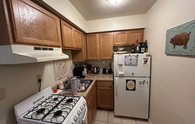 1 bed, 1 bath, $850, Unit 119