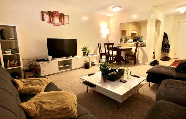 2 beds, 1 bath, 800 sqft, $2,500, Unit 2