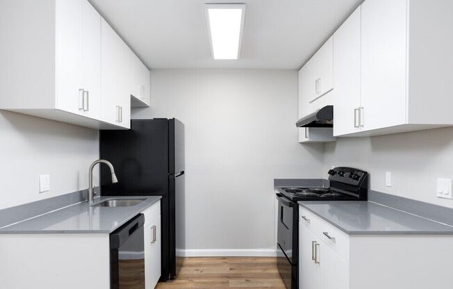 Kitchen-Renovated (2BR,1BA 865SF)
