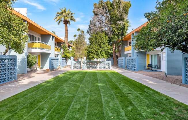 A row of houses with blue fences and green lawns at The Phoenix Apartments on 6th Avenue, Phoenix, Arizona