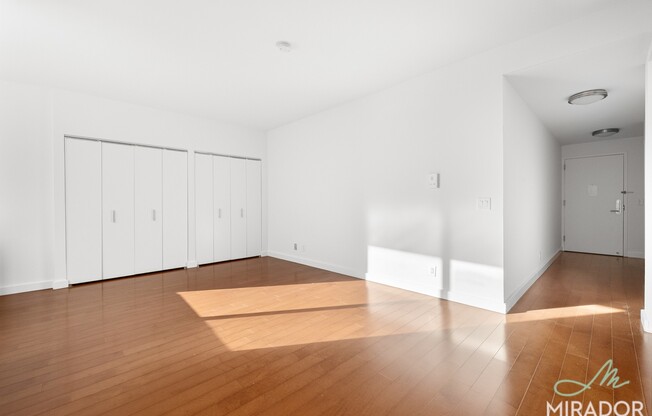 Studio, 1 bath, $3,500, Unit 16L