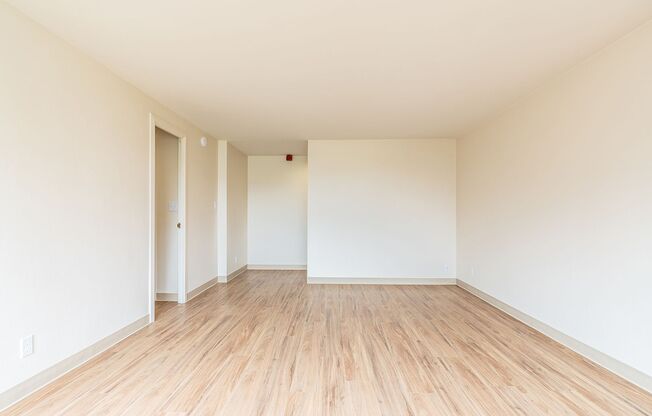 Studio, 1 bath, 423 sqft, $1,575, Unit 704