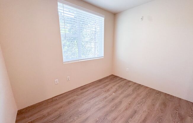 Studio, 1 bath, 154 sqft, $1,245, Unit 456