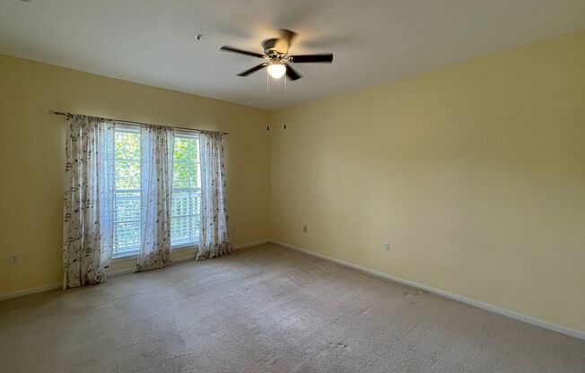 1 bed, 1 bath, $1,900