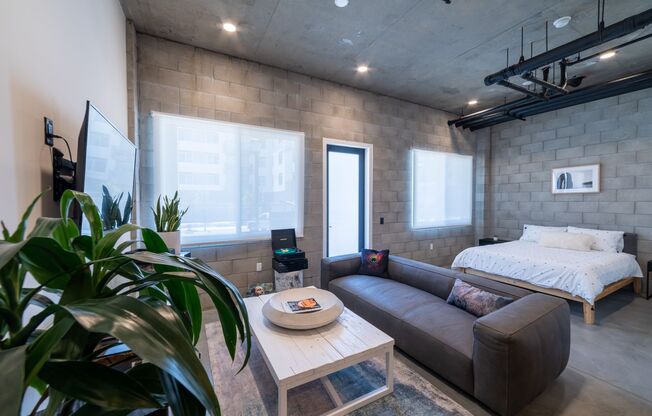 Studio, 1 bath, 745 sqft, $2,575, Unit 102
