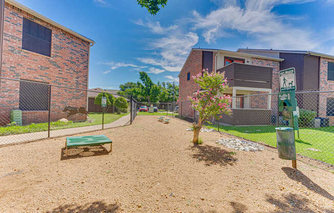 A small tree is in the middle of a dirt area.