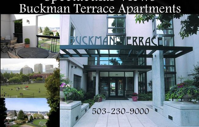 Buckman Terrace
