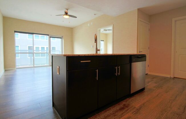 1 bed, 1 bath, 609 sqft, $1,295, Unit APT 224