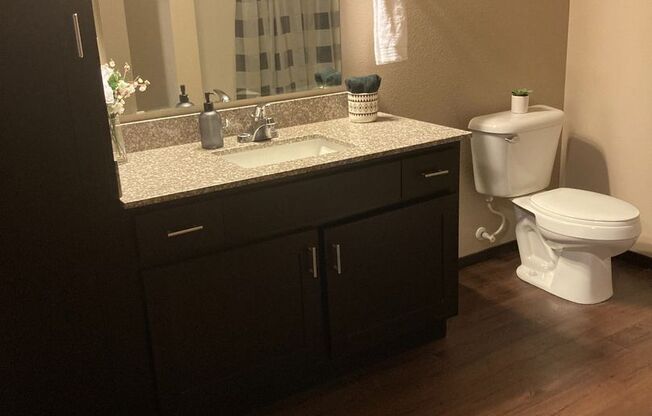 Studio, 1 bath, 472 sqft, $1,275, Unit 5304