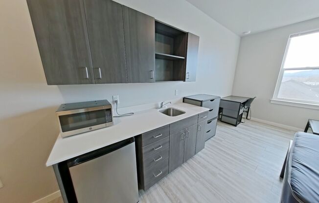 Studio, 1 bath, 277 sqft, $975, Unit 520