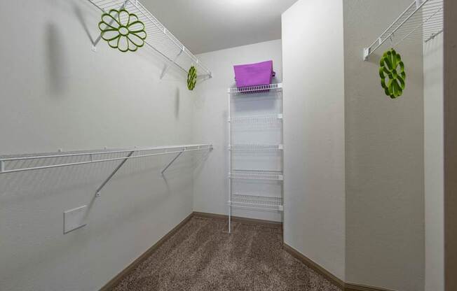 A walk-in closet with white shelves and a carpeted floor.
