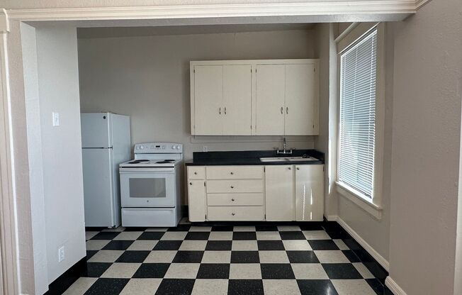1 bed, 1 bath, 455 sqft, $1,095, Unit 310