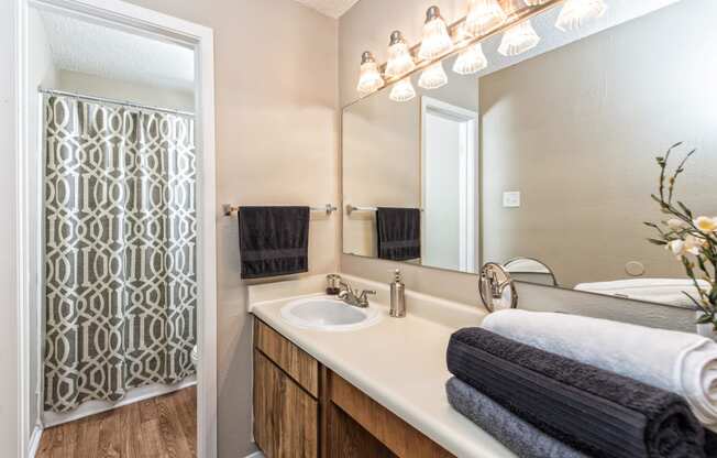 Designer Bathroom Suites at Abbey Glenn Apartments, Texas