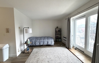 Studio, 1 bath, 375 sqft, $1,950, Unit 207