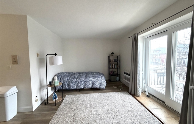 Studio, 1 bath, 375 sqft, $1,950, Unit 207