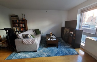 Studio, 1 bath, 508 sqft, $3,950, Unit N5G