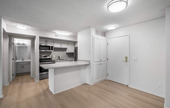 Renovated Unit Kitchen