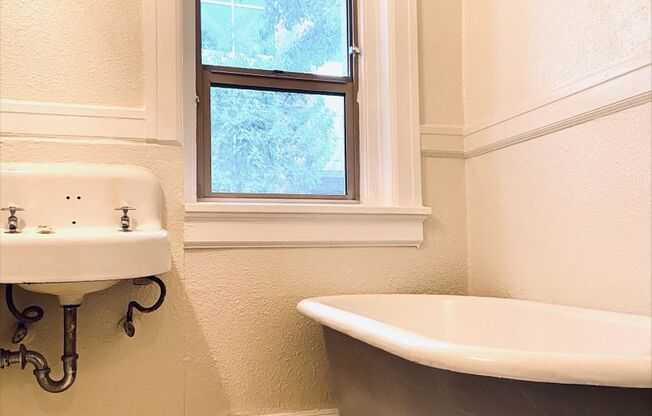 Studio, 1 bath, 274 sqft, $875, Unit 115