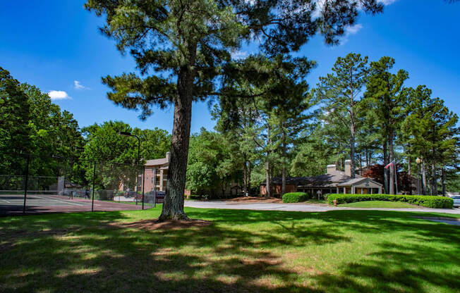 a large tree in the middle of a grass field at The Summit Apartments, Tennessee, 38128