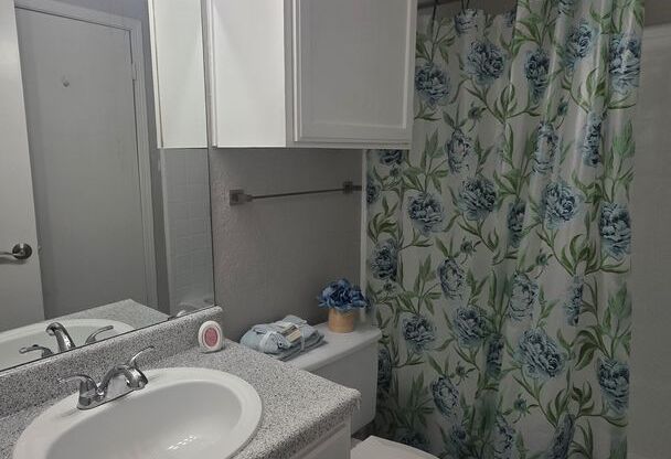 Studio, 1 bath, 424 sqft, $899, Unit 0819