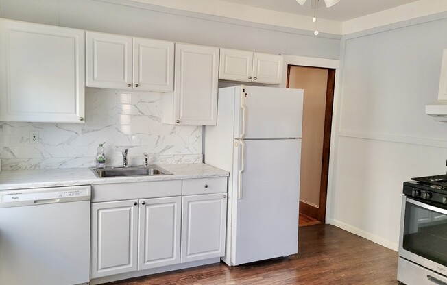 253 BELGRADE AVE