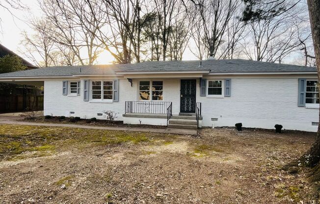 Charming East Memphis home, 3BR/2ba, 1600 sq ft! One dog ok w fees! Fully fenced in back yard.