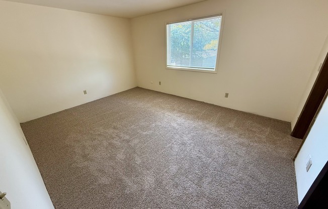 A room with a carpeted floor and a window.