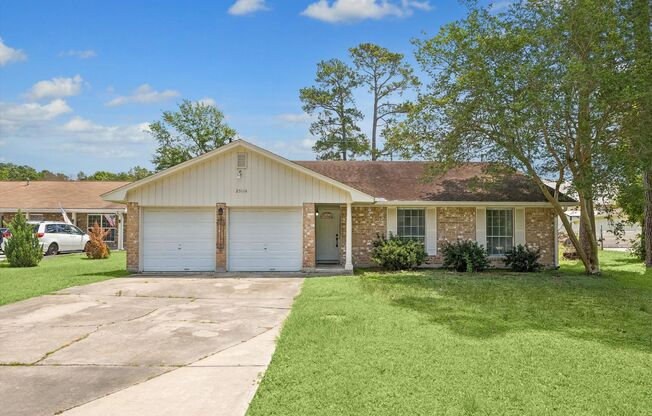 Huge yard with plenty room for everyone