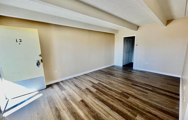 Newly Renovated One Bedroom Apartment Available December 1st