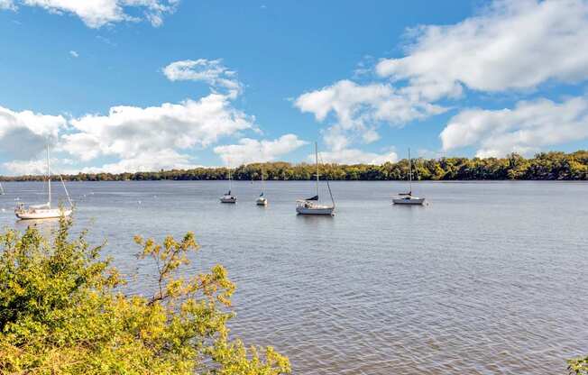 a group of sailboats in the water on a lake