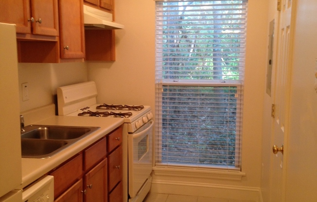 1 bed, 1 bath, 750 sqft, $1,060, Unit G02