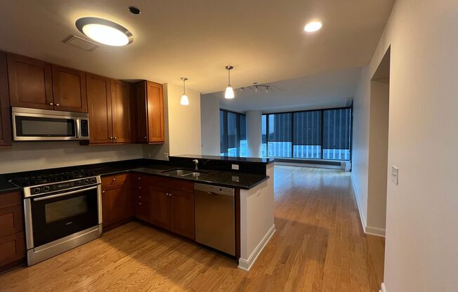 60 E Monroe St Unit 2604 Chicago, IL 60603-2768