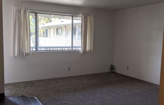 1 bed, 1 bath, $995, Unit 16