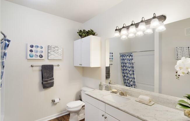 a white bathroom with a shower and a toilet and a sink