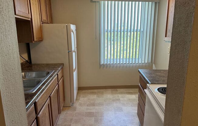 1 bed, 1 bath, $725