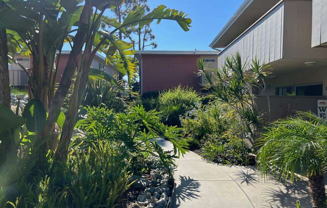 a walkway through a garden in front of a building