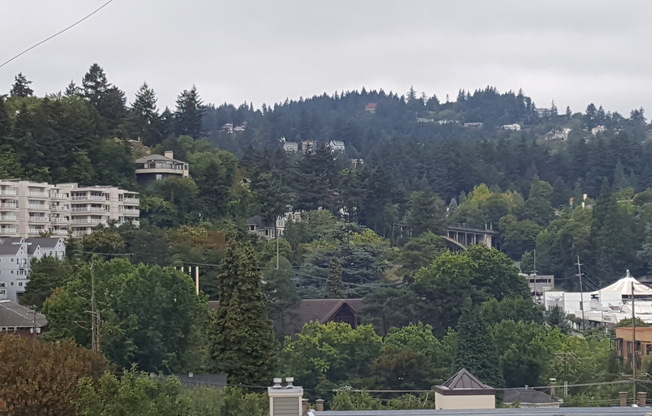 Studio, 1 bath, 430 sqft, $1,150, Unit 512