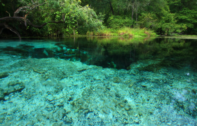 Itchetucknee Springs State Park - A 46 minute drive!