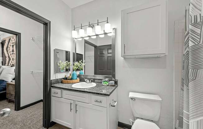 A bathroom with a white toilet, a sink with a mirror above it, and a shower area.