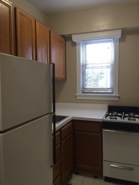 Studio, 1 bath, 300 sqft, $1,678, Unit 403