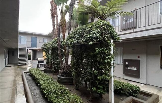 Iris Arms Apartments