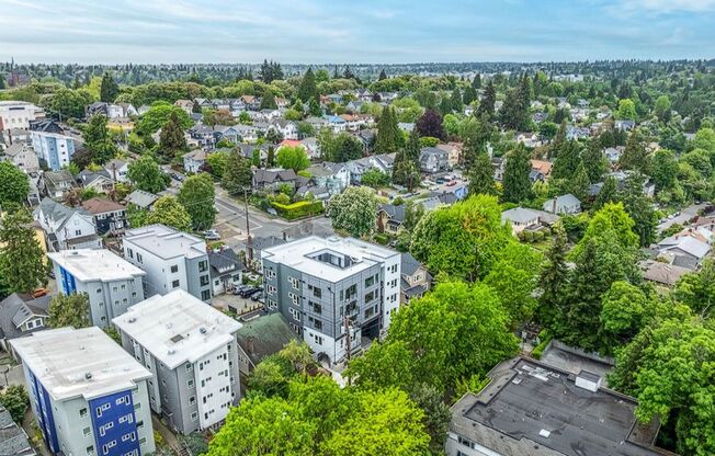 Studio, 1 bath, 250 sqft, $1,350, Unit 101