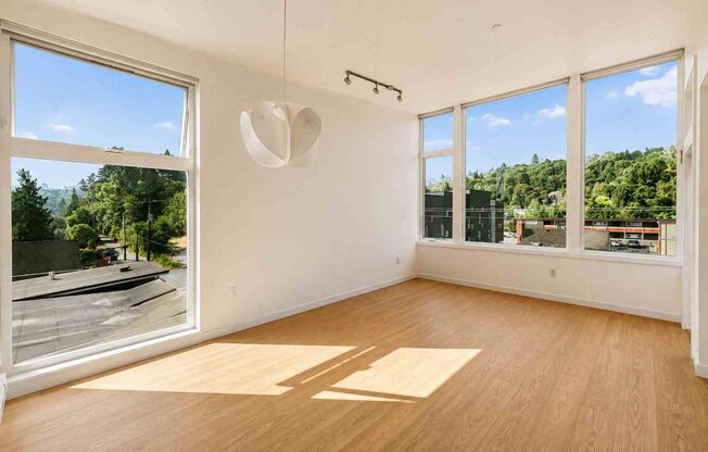 1 bed, 1 bath, 485 sqft, $1,795, Unit Unit 202